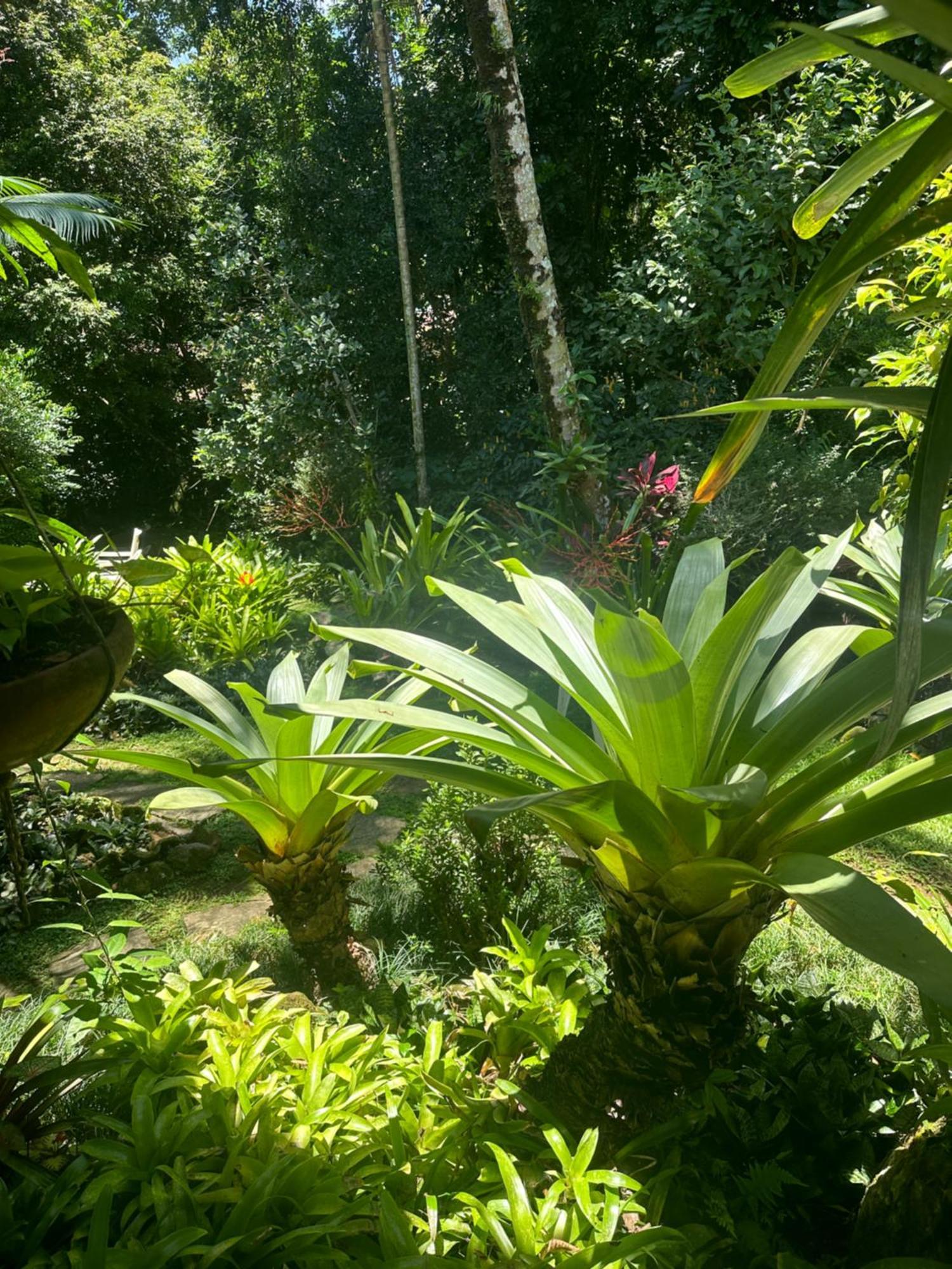 Pousada Cachoeira Vila do Abraao Екстер'єр фото